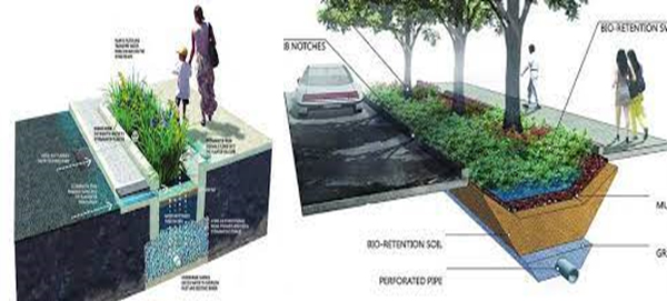 Bioswale